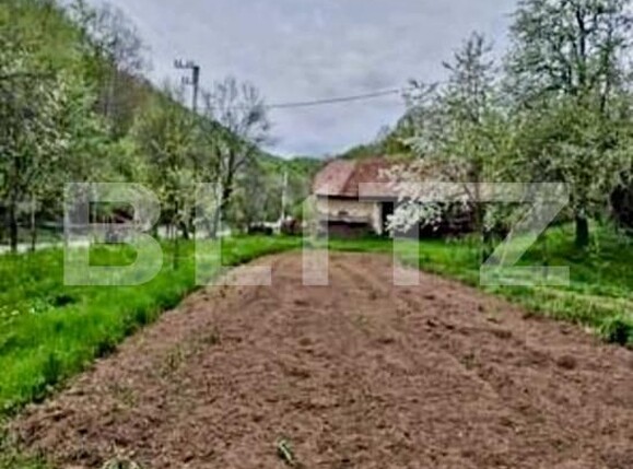 Casa de vânzare 3 camere Almasu Mare - 183538CV | BLITZ Alba Iulia | Poza8