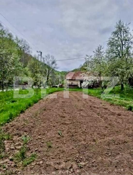 Casa de vânzare 3 camere Almasu Mare - 183538CV | BLITZ Alba Iulia | Poza8