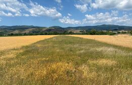 Teren de vânzare Micești - 189994TV | BLITZ Alba Iulia | Poza2