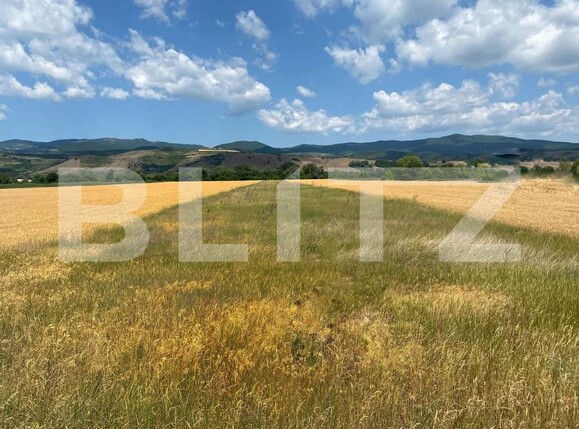 Teren de vânzare Vinţu de Jos - 183639TV | BLITZ Alba Iulia | Poza1