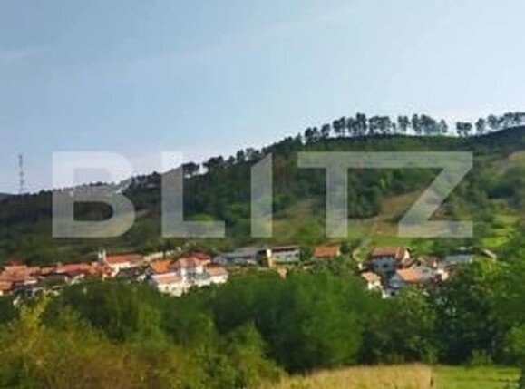 Teren de vânzare Paclisa - 183695TV | BLITZ Alba Iulia | Poza2