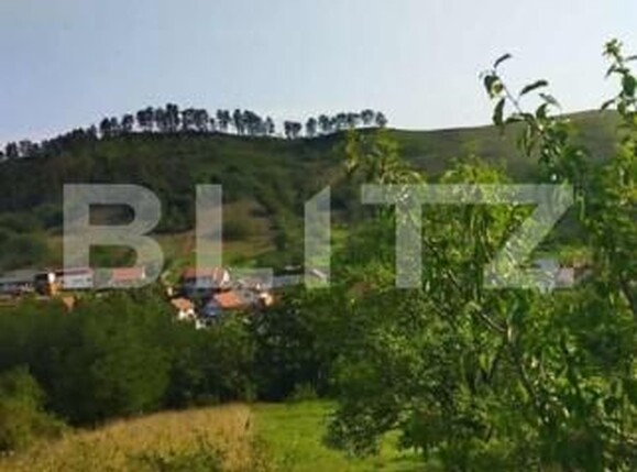 Teren de vânzare Paclisa - 183695TV | BLITZ Alba Iulia | Poza1