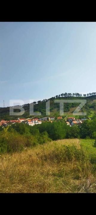 Teren de vânzare Paclisa - 183695TV | BLITZ Alba Iulia | Poza2