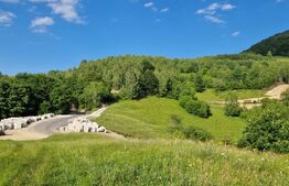 11,5 ha teren extravilan pe Trans Apuseana – cu izvor și curent electric