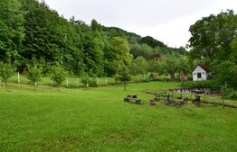 Casa de vacanta cu 4 camere,3300 mp teren,Rimet