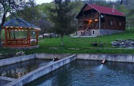 Casa de vacanta cu 4 camere,3300 mp teren,Rimet