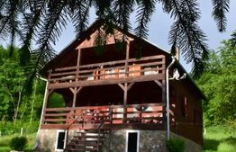 Casa de vacanta cu 4 camere,3300 mp teren,Rimet