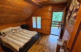 Casa de vacanta cu 4 camere,3300 mp teren,Rimet