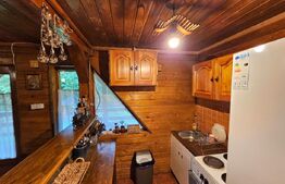 Casa de vacanta cu 4 camere,3300 mp teren,Rimet