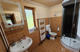 Casa de vacanta cu 4 camere,3300 mp teren,Rimet
