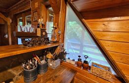 Casa de vacanta cu 4 camere,3300 mp teren,Valisoara