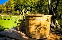 Casa de vacanta cu 4 camere,3300 mp teren,Valisoara