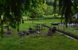 Casa de vacanta cu 4 camere,3300 mp teren,Rimet