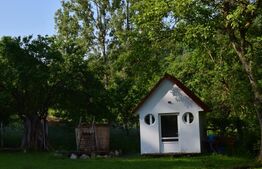 Casa de vacanta cu 4 camere,3300 mp teren,Valisoara