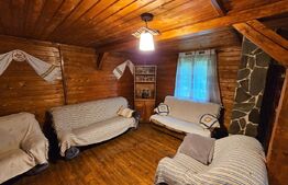 Casa de vacanta cu 4 camere,3300 mp teren,Rimet