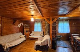 Casa de vacanta cu 4 camere,3300 mp teren,Rimet