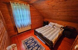 Casa de vacanta cu 4 camere,3300 mp teren,Rimet