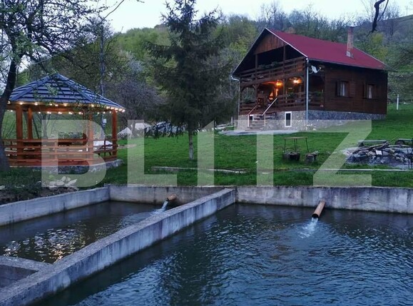 Casa de vânzare 4 camere Aiudul de Sus - 183803CV | BLITZ Alba Iulia | Poza25