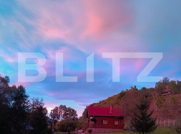 Casa de vânzare 4 camere Aiudul de Sus - 183803CV | BLITZ Alba Iulia | Poza20