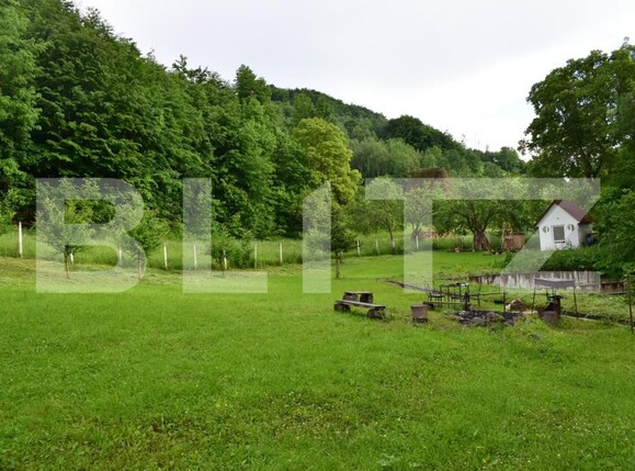 Casa de vânzare 4 camere Aiudul de Sus - 183803CV | BLITZ Alba Iulia | Poza23