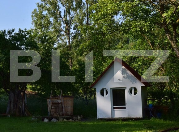 Casa de vânzare 4 camere Aiudul de Sus - 183803CV | BLITZ Alba Iulia | Poza21