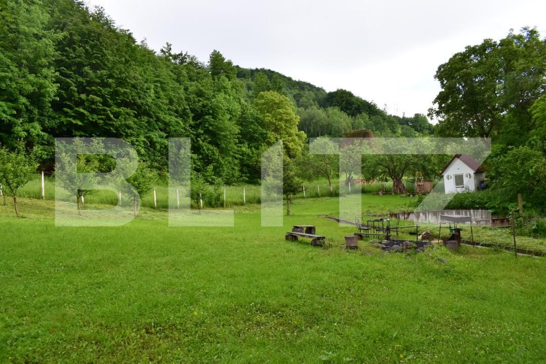 Casa de vânzare 4 camere Valea Inzelului - 183803CV | BLITZ Alba Iulia | Poza23