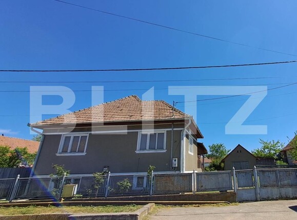 Casa de vânzare 6 camere  Exterior Est - 183809CV | BLITZ Alba Iulia | Poza3