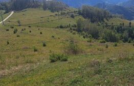 Teren extravilan 4.604 mp cu curent – ideal pentru cabană, zona Trans Apuseana