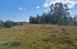 Teren extravilan 4.604 mp cu curent – ideal pentru cabană, zona Trans Apuseana