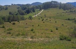 Teren extravilan 4.604 mp cu curent – ideal pentru cabană, zona Trans Apuseana