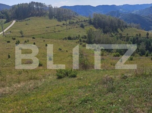 Teren de vânzare Exterior Nord - 183863TV | BLITZ Alba Iulia | Poza2