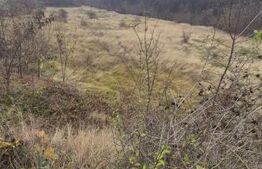 Teren de vânzare Sebeș - 163434TV | BLITZ Alba Iulia | Poza1