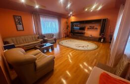 Casă spațioasă, aproape de centru, într-o zonă excelentă din Sebeș