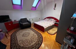 Casă spațioasă, aproape de centru, într-o zonă excelentă din Sebeș