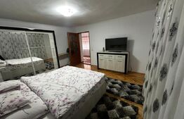 Casă spațioasă, aproape de centru, într-o zonă excelentă din Sebeș