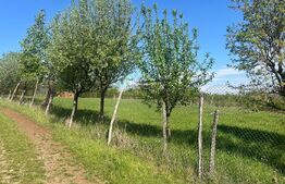 Teren cu vedere panoramică, 700 mp, zona Exterior Vest 