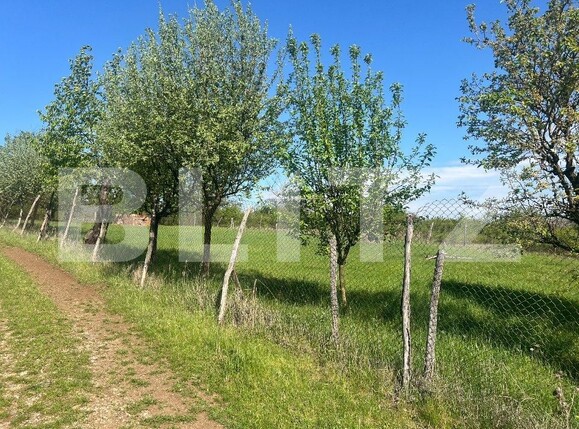 Teren de vânzare Exterior Vest - 184159TV | BLITZ Alba Iulia | Poza3