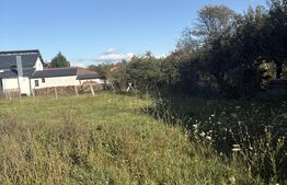 Teren intravilan de vanzare, 1200 mp, zona Miceşti