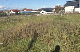 Teren intravilan de vanzare, 1200 mp, zona Miceşti