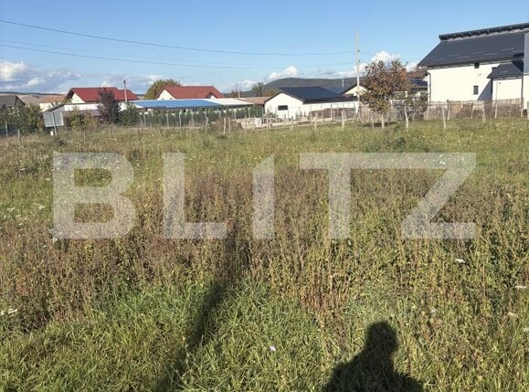 Teren de vânzare Micești - 184164TV | BLITZ Alba Iulia | Poza2