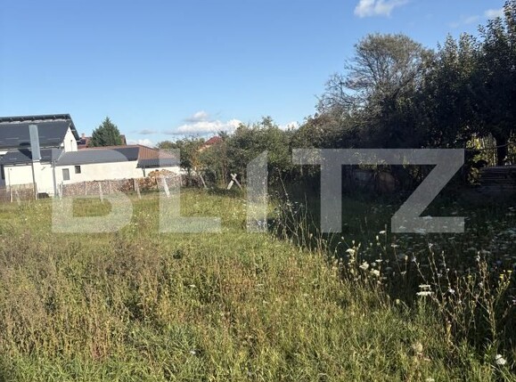 Teren de vânzare Micești - 184164TV | BLITZ Alba Iulia | Poza3