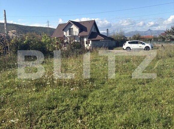 Teren de vânzare Micești - 184164TV | BLITZ Alba Iulia | Poza1