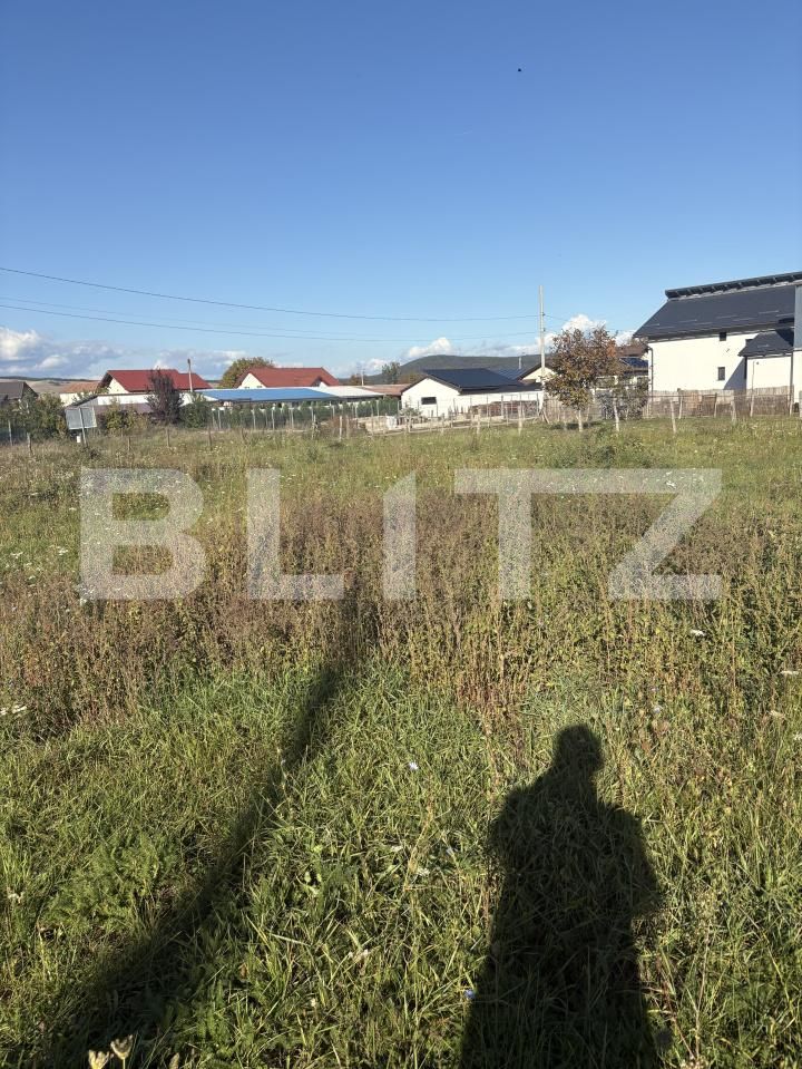 Teren de vânzare Micești - 184164TV | BLITZ Alba Iulia | Poza2