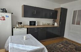 Casa spatioasa cu 4 camere, orasul Campeni