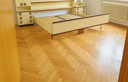 🏡 Casă pentru familie, cu curte mare și ieșire la râu in Cugir