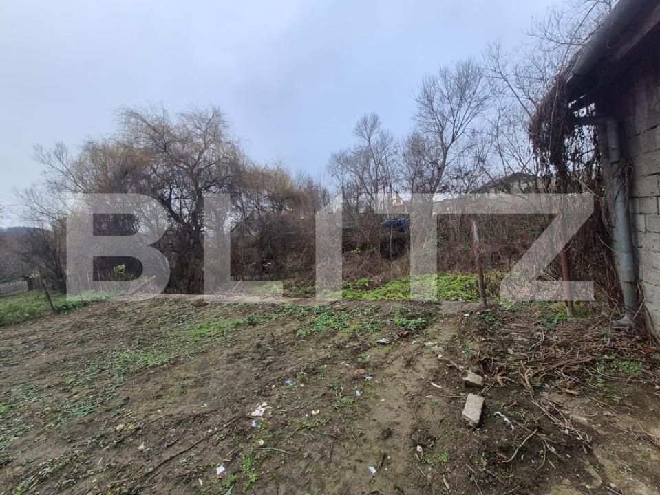 Casa de vânzare 4 camere Cugir - 184207CV | BLITZ Alba Iulia | Poza10