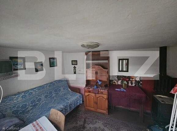 Casa de vânzare 2 camere Campeni - 184210CV | BLITZ Alba Iulia | Poza17
