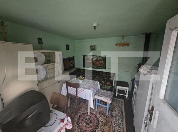 Casa de vânzare 2 camere Campeni - 184210CV | BLITZ Alba Iulia | Poza16