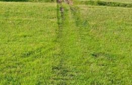 Teren intravilan de vânzare, 4552 mp, comuna Vidra