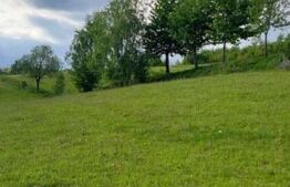 Teren intravilan de vânzare, 4552 mp, comuna Vidra